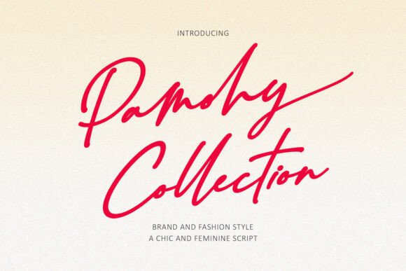 Pamohy Collection: Elevating Design with a Feminine Handwritten Style